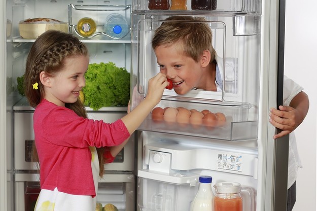 Thực phẩm có nên để lâu trong tủ lạnh?